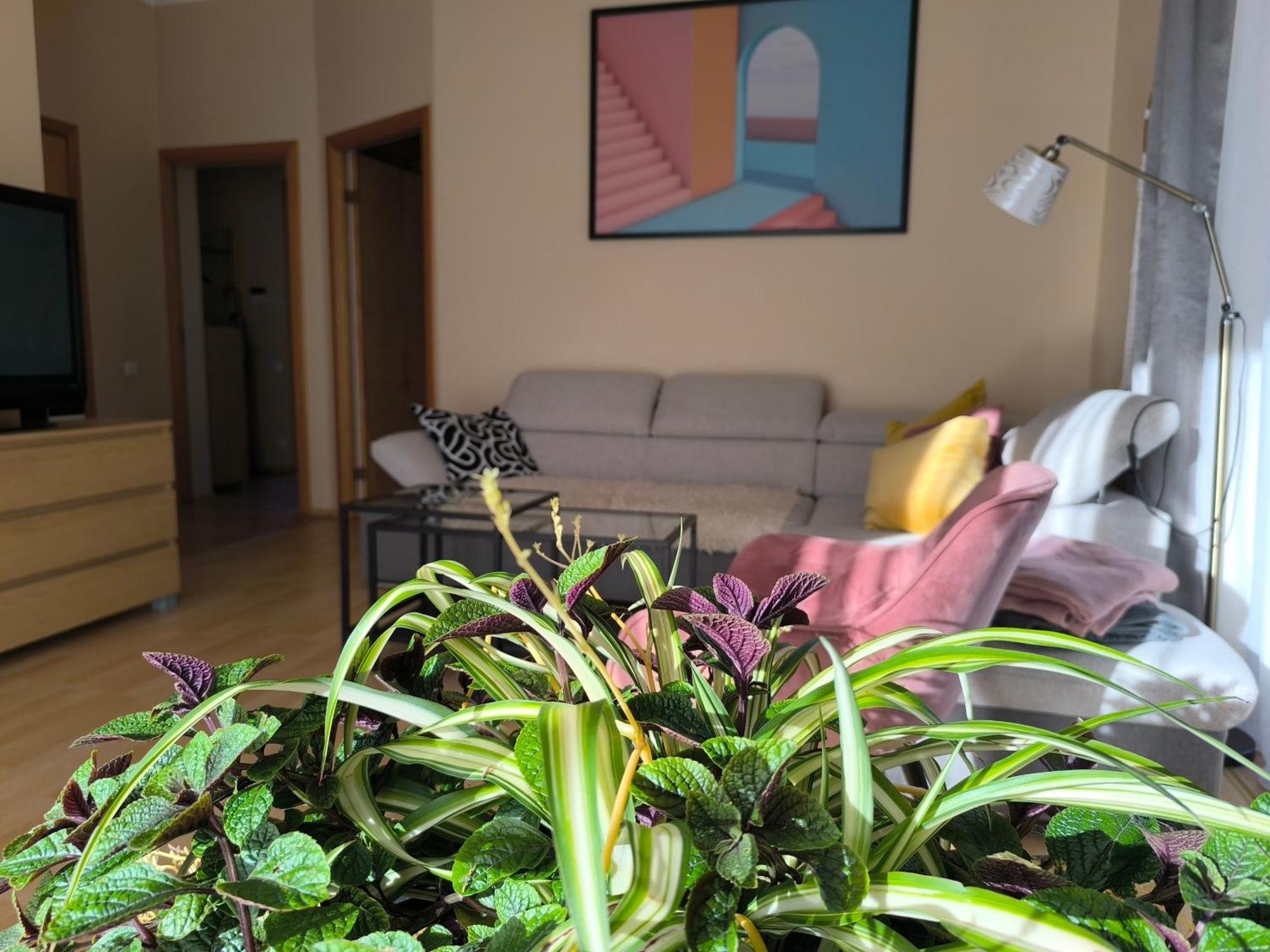 Flip-Flops Apartment Jurmala With Free Parking المظهر الخارجي الصورة