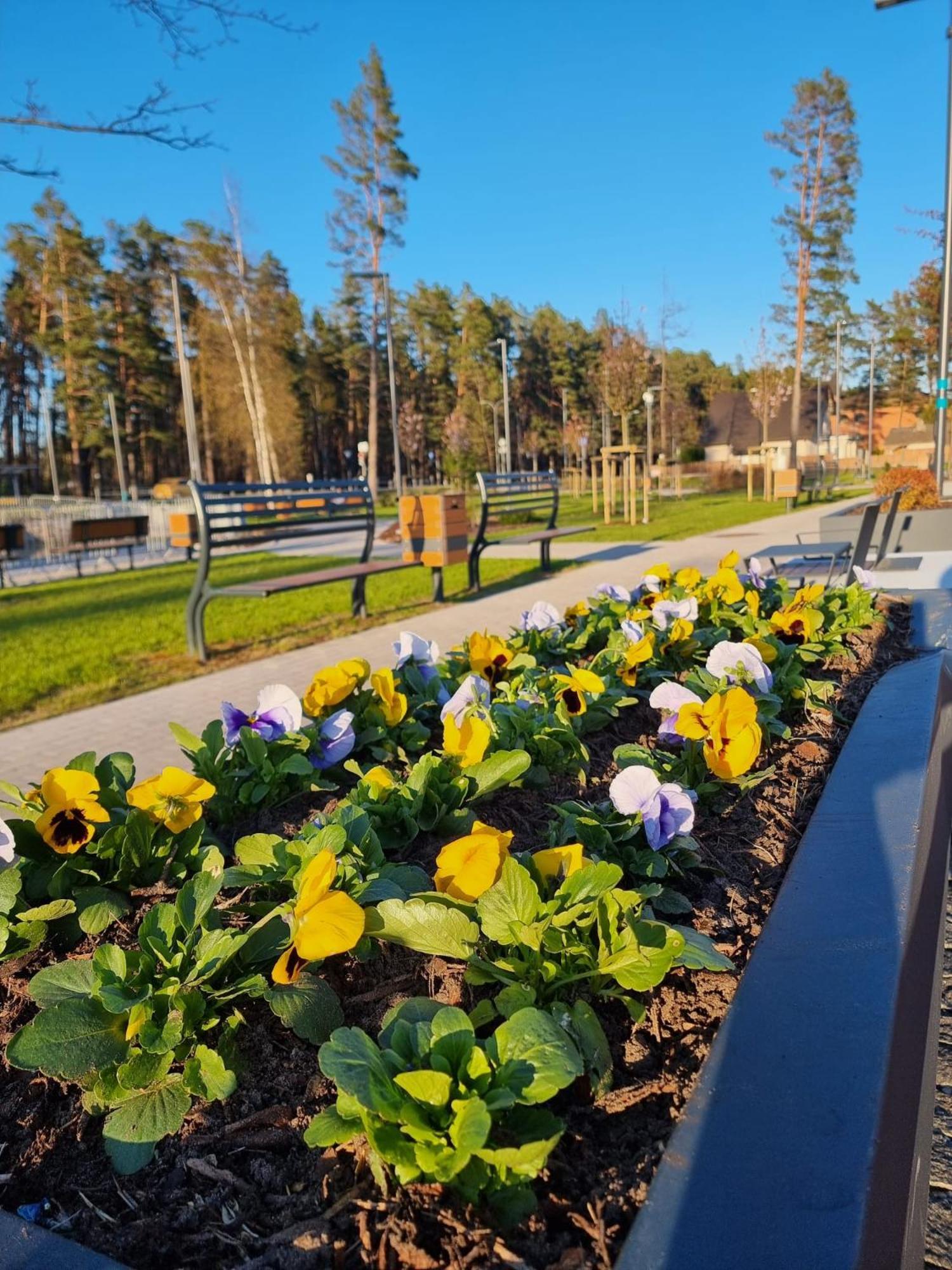 Flip-Flops Apartment Jurmala With Free Parking المظهر الخارجي الصورة